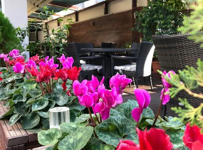 فندق Riva Resatbey Luxury 4*